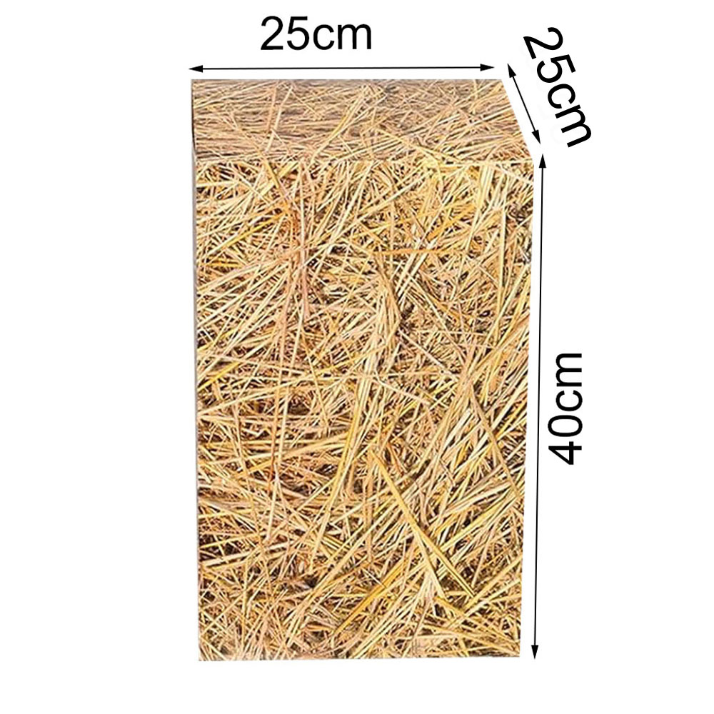 Western Cowboy Birthday Party  - đánh giá và giá Cowboy Hat Straw